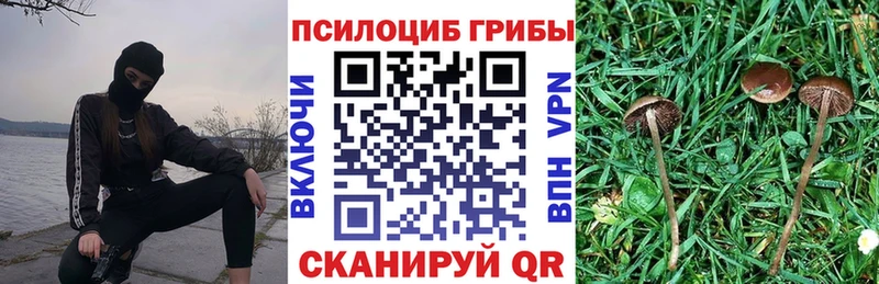 Галлюциногенные грибы мицелий  Бодайбо 